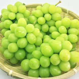 ご家庭用 完熟シャインマスカット(種なし)約1.8kg 岡山県産,家庭用