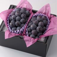 【厳選品】種なしニューピオーネ　2房（約800g、約1.0kg、約1.2kg）岡山県産,お中元,贈呈用