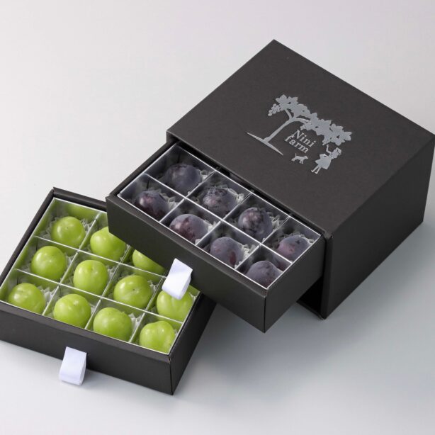 グレープジュエルボックス～ニューピオーネ＆シャインマスカット～