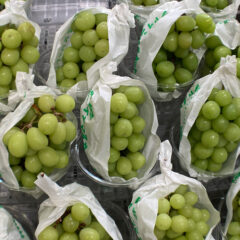 美味しいマスカットの選び方は？ハズレをひかないコツを徹底解説