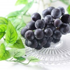 種無しぶどうの作り方！なぜできるのか、ジベレリン処理の方法を解説