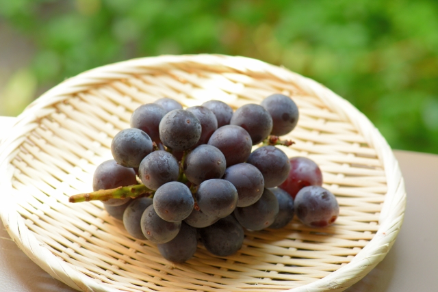 旬のぶどう