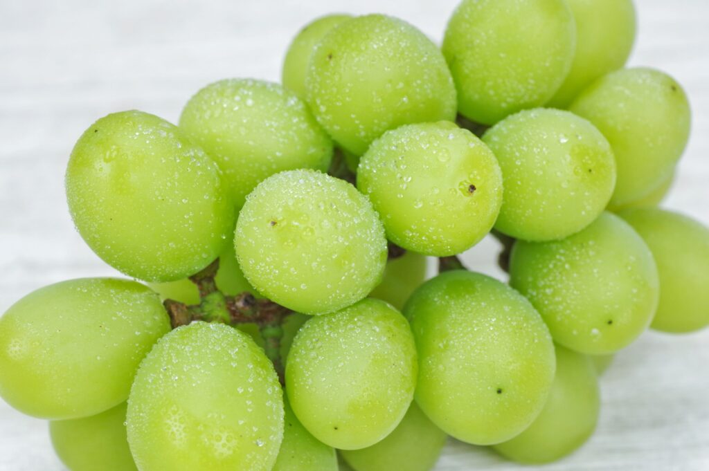 冷やしたマスカット
