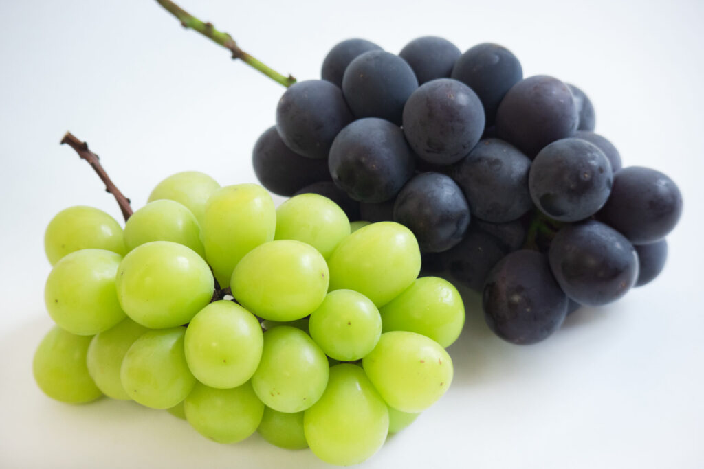 ぶどうとマスカット