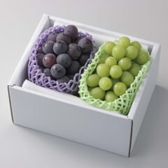 【通常品】こだわりのニューピオーネ＆シャインマスカット各1房（約800g・約1.0kg・約1.2kg）お中元,贈呈用、岡山県産