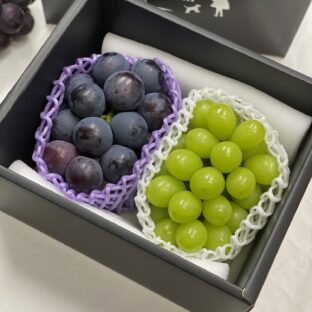 希少品種 オーロラブラック&シャインマスカット 岡山県産