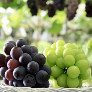 ご家庭用 ニューピオーネ&完熟シャインマスカット(種なし)約2.0kg 岡山県産,家庭用