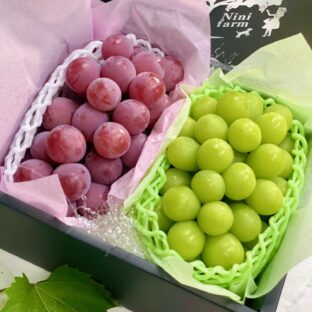 希少品種 クイーンニーナ&シャインマスカット 岡山県産