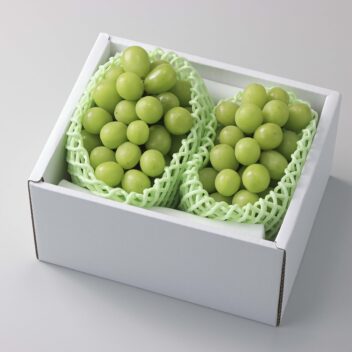 ギフトにおすすめ！ 贈答用ぶどう特集 | ぶどうのおいしさを全国にお