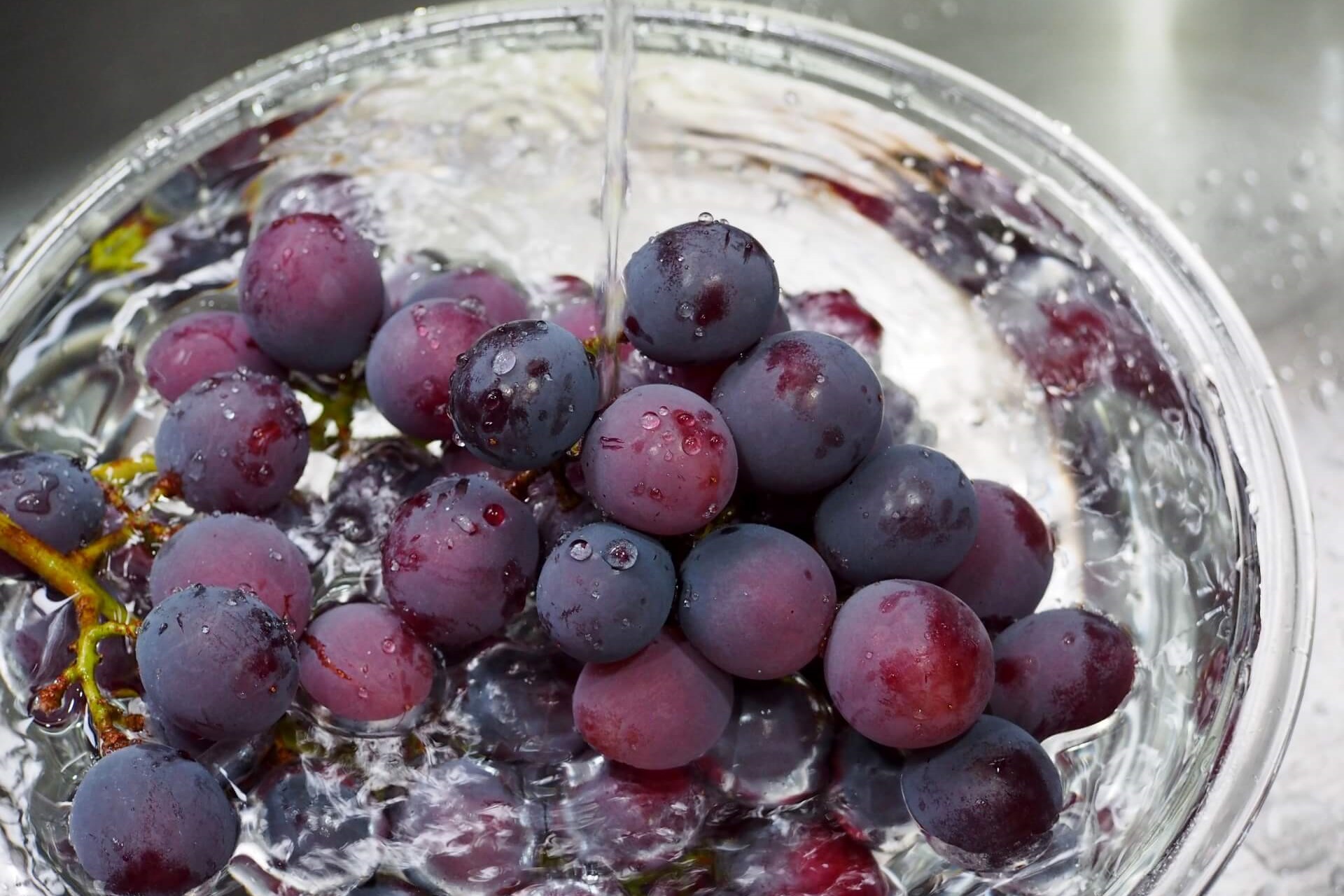 流水で洗っているぶどう