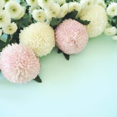 お墓参りのお供え物に関するマナーは？おすすめの食べ物とNG例