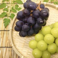 ぶどうの房の中で甘い方は上？下？美味しいぶどうの見分け方を解説