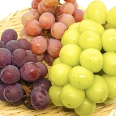 シャインマスカットとマスカットの違いは？特徴や楽しみ方を徹底解説