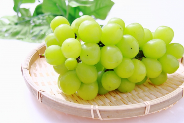 新鮮なシャインマスカット