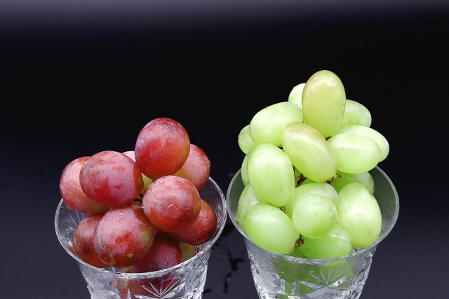 カップに入ったぶどうとマスカット