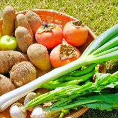 無農薬・オーガニック・有機野菜の違いは？栽培方法やメリットを解説