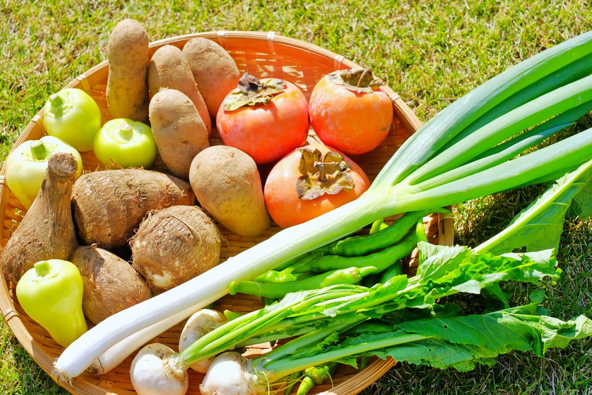 秋の野菜の盛り合わせ